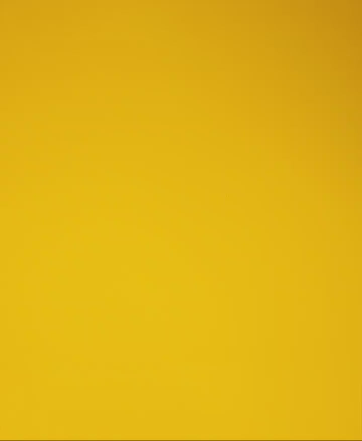 Hydrate Orange 20 x 5.3 g